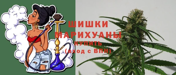 шишки Киренск