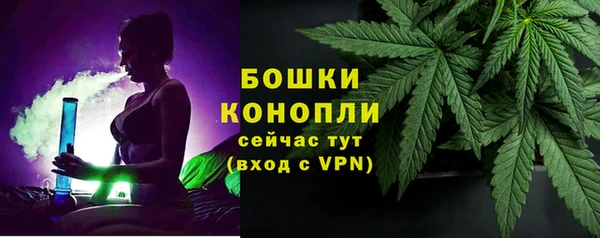 шишки Киренск