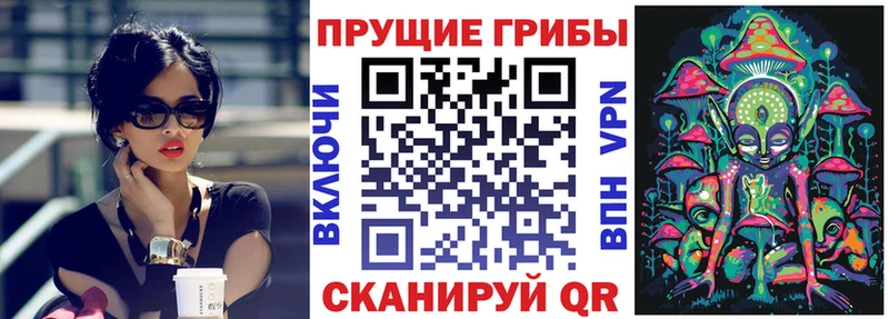 Галлюциногенные грибы Psilocybine cubensis где продают наркотики Ахтырский